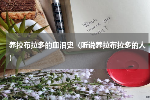 养拉布拉多的血泪史（听说养拉布拉多的人）