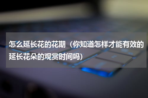 怎么延长花的花期（你知道怎样才能有效的延长花朵的观赏时间吗）