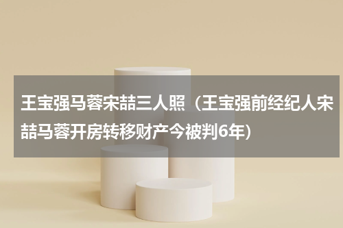 王宝强马蓉宋喆三人照（王宝强前经纪人宋喆马蓉开房转移财产今被判6年）