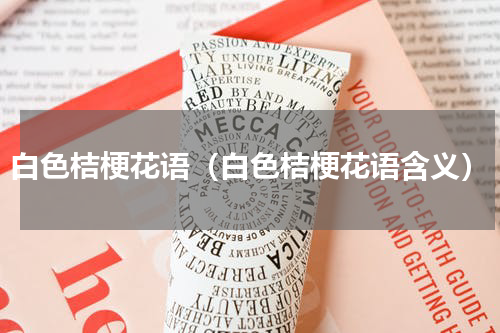 白色桔梗花语（白色桔梗花语含义）