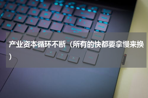 产业资本循环不断（所有的快都要拿慢来换）