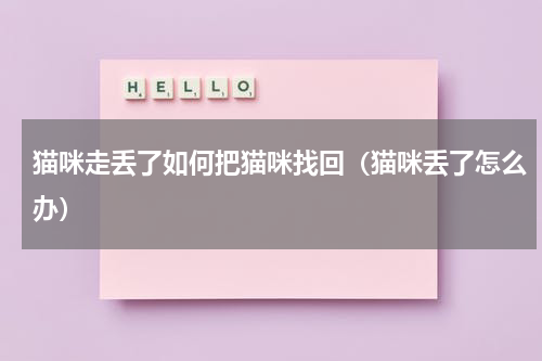 猫咪走丢了如何把猫咪找回（猫咪丢了怎么办）