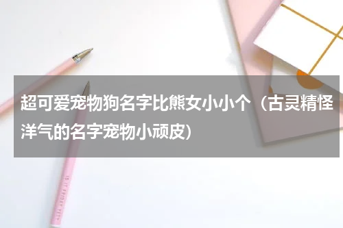 超可爱宠物狗名字比熊女小小个（古灵精怪洋气的名字宠物小顽皮）