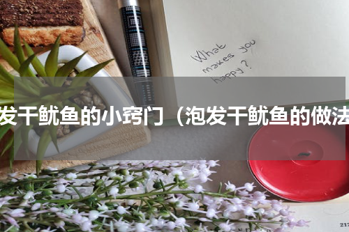 泡发干鱿鱼的小窍门（泡发干鱿鱼的做法）