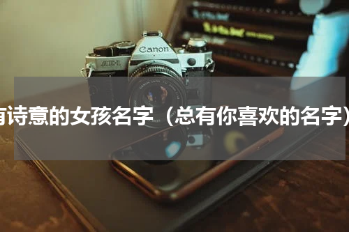有诗意的女孩名字（总有你喜欢的名字）