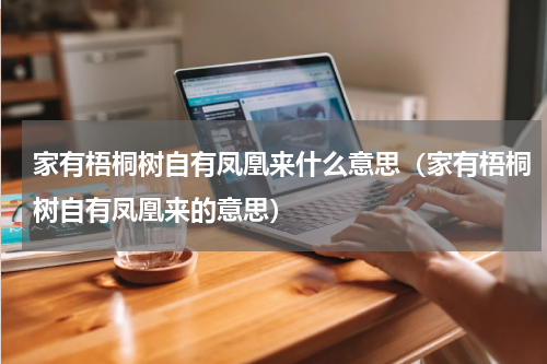家有梧桐树自有凤凰来什么意思（家有梧桐树自有凤凰来的意思）