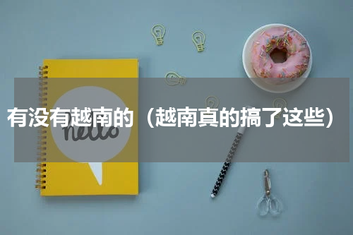 有没有越南的（越南真的搞了这些）