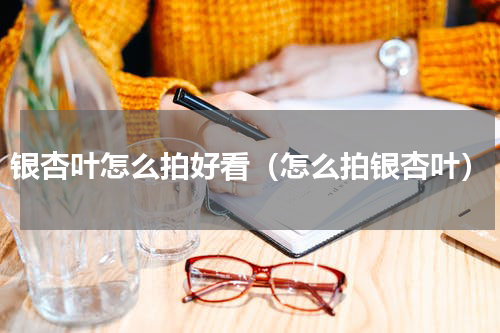 银杏叶怎么拍好看（怎么拍银杏叶）