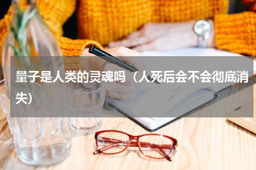量子是人类的灵魂吗（人死后会不会彻底消失）