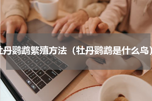 牡丹鹦鹉繁殖方法（牡丹鹦鹉是什么鸟）