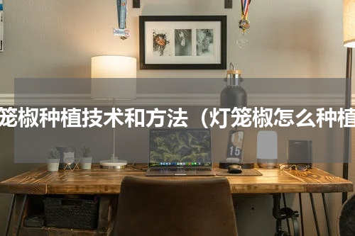 灯笼椒种植技术和方法（灯笼椒怎么种植）