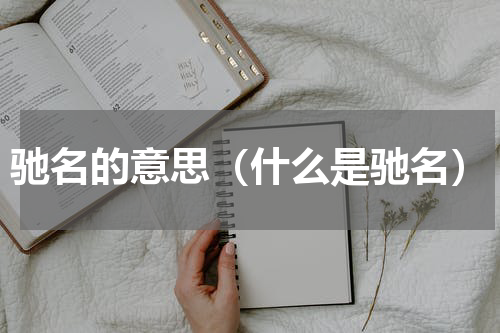 驰名的意思（什么是驰名）