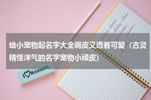 给小宠物起名字大全调皮又透着可爱（古灵精怪洋气的名字宠物小顽皮）