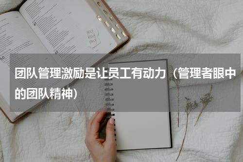 团队管理激励是让员工有动力（管理者眼中的团队精神）
