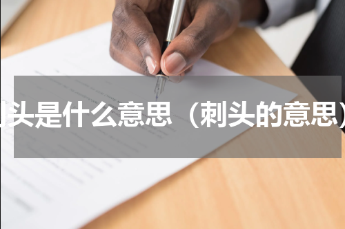 刺头是什么意思（刺头的意思）