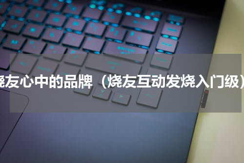 烧友心中的品牌（烧友互动发烧入门级）