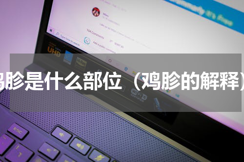 鸡胗是什么部位（鸡胗的解释）