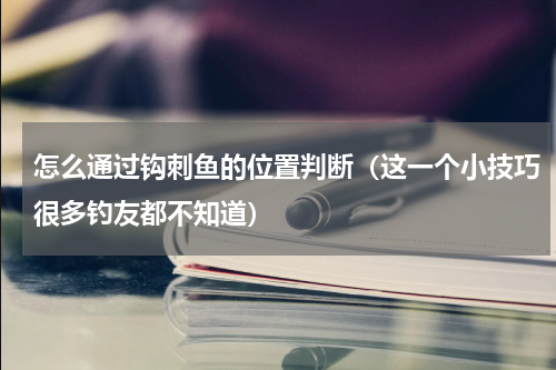 怎么通过钩刺鱼的位置判断（这一个小技巧很多钓友都不知道）