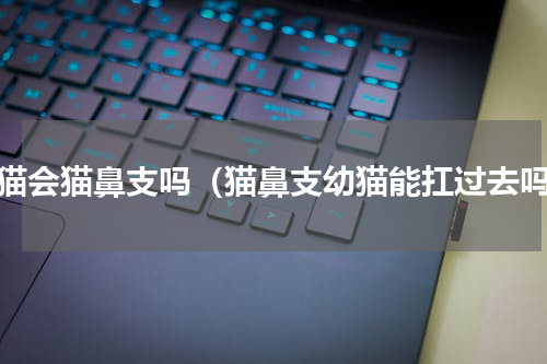 幼猫会猫鼻支吗（猫鼻支幼猫能扛过去吗）