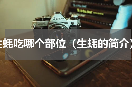 生蚝吃哪个部位（生蚝的简介）