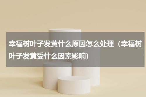 幸福树叶子发黄什么原因怎么处理（幸福树叶子发黄受什么因素影响）