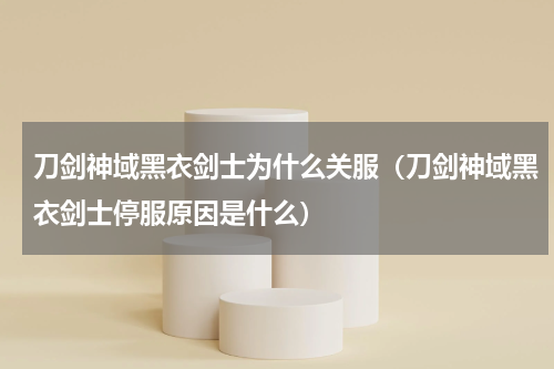 刀剑神域黑衣剑士为什么关服（刀剑神域黑衣剑士停服原因是什么）