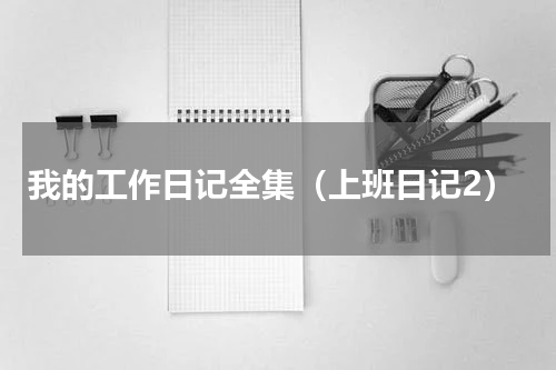 我的工作日记全集（上班日记2）