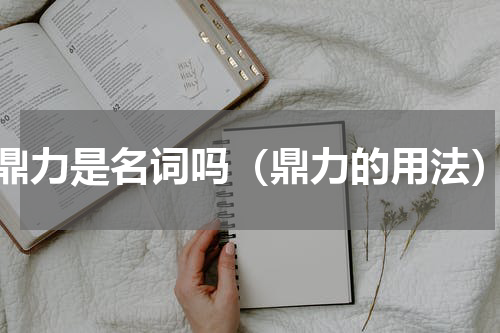 鼎力是名词吗（鼎力的用法）