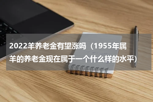 2022羊养老金有望涨吗（1955年属羊的养老金现在属于一个什么样的水平）