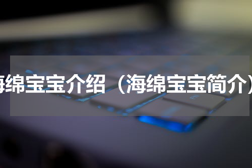 海绵宝宝介绍（海绵宝宝简介）