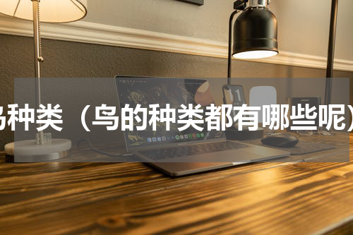 鸟种类（鸟的种类都有哪些呢）