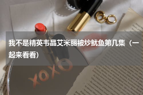 我不是精英韦晶艾米丽被炒鱿鱼第几集（一起来看看）