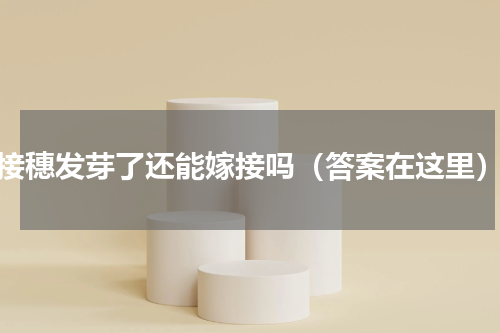接穗发芽了还能嫁接吗（答案在这里）
