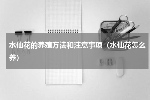 水仙花的养殖方法和注意事项（水仙花怎么养）