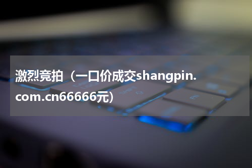 激烈竞拍（一口价成交shangpin.com.cn66666元）