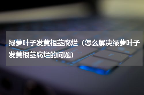绿萝叶子发黄根茎腐烂（怎么解决绿萝叶子发黄根茎腐烂的问题）