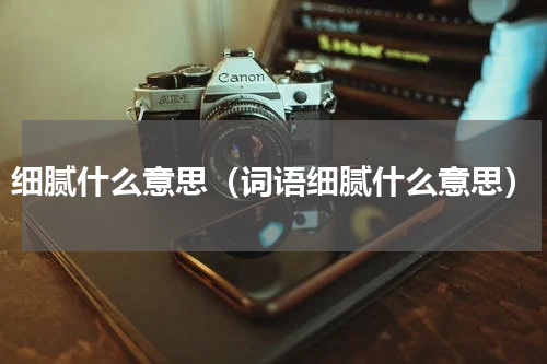 细腻什么意思（词语细腻什么意思）