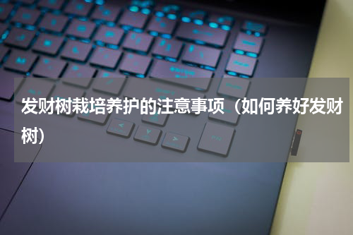 发财树栽培养护的注意事项（如何养好发财树）