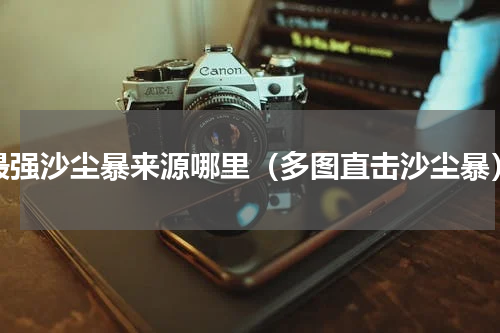 最强沙尘暴来源哪里（多图直击沙尘暴）