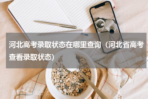 河北高考录取状态在哪里查询（河北省高考查看录取状态）