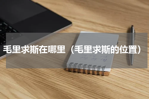 毛里求斯在哪里（毛里求斯的位置）
