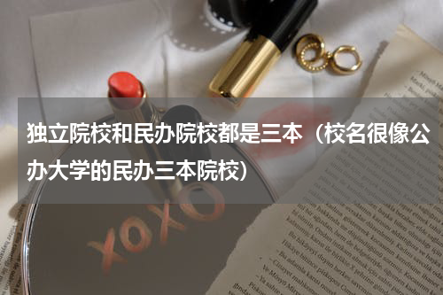 独立院校和民办院校都是三本（校名很像公办大学的民办三本院校）