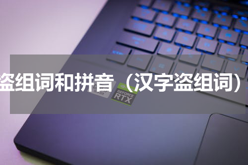盗组词和拼音（汉字盗组词）