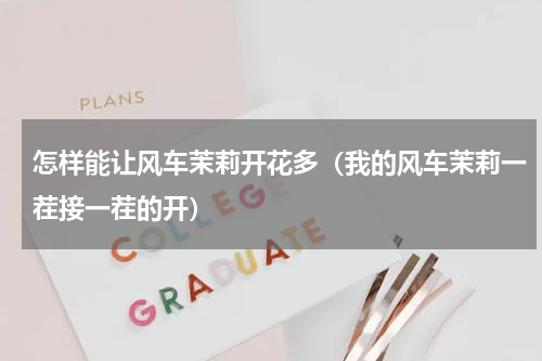 怎样能让风车茉莉开花多（我的风车茉莉一茬接一茬的开）