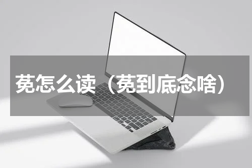 莬怎么读（莬到底念啥）