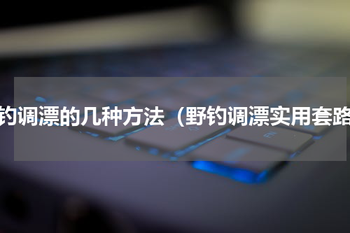 野钓调漂的几种方法（野钓调漂实用套路）