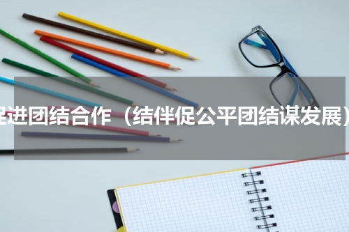 促进团结合作（结伴促公平团结谋发展）