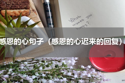 感恩的心句子（感恩的心迟来的回复）