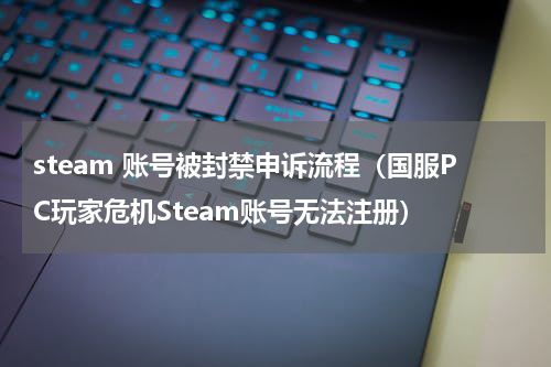 steam 账号被封禁申诉流程（国服PC玩家危机Steam账号无法注册）