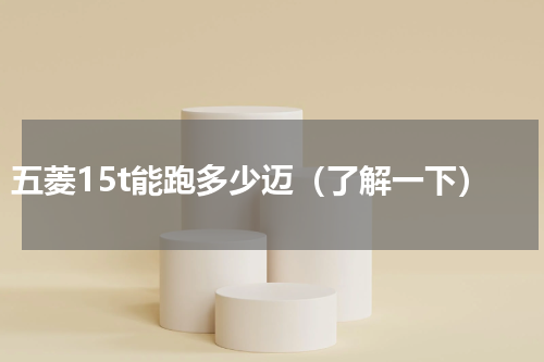五菱15t能跑多少迈（了解一下）
